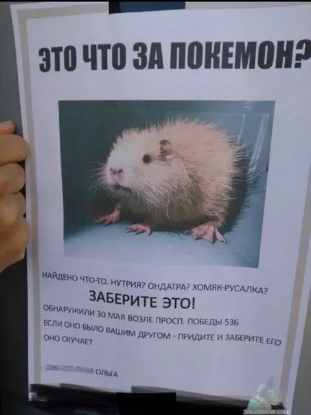Смешная картинка №321043