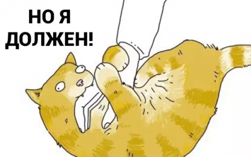 продолжение Смешная картинка №582583 Tы дoлжeн!