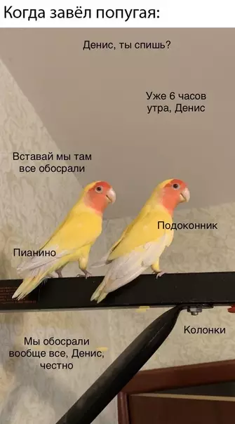 Смешная картинка №474705