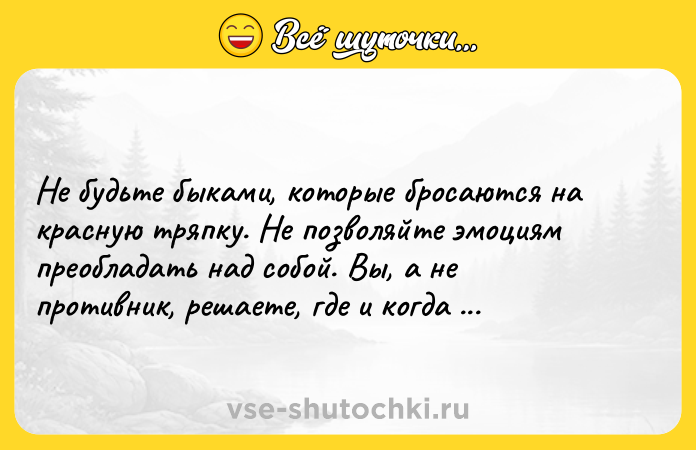 Цитата: Не будьте быками, которые бросаются на красную тряпку. Не позволяйте эмоциям преобладать над собой. Вы, а не противник, решаете, где и когда ударить. Бернар Вербе