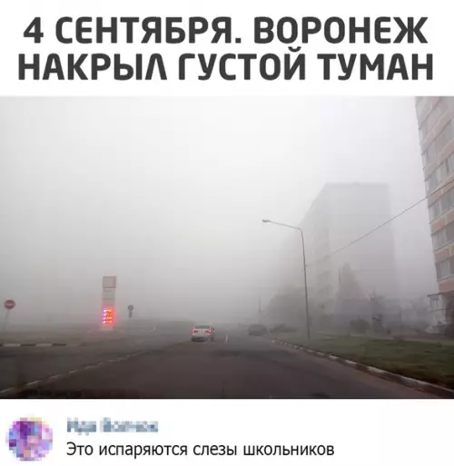 Смешная картинка №517054