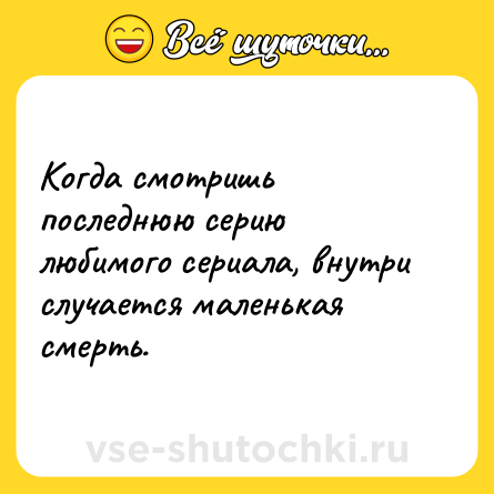 Шутка: Когда смотришь последнюю серию любимого сериала, внутри случается маленькая смерть.