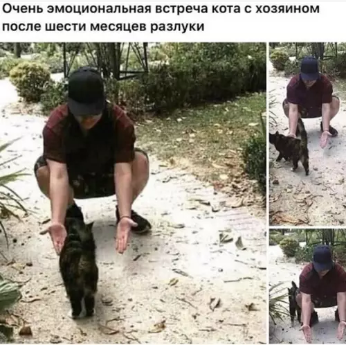 Смешная картинка №506859
