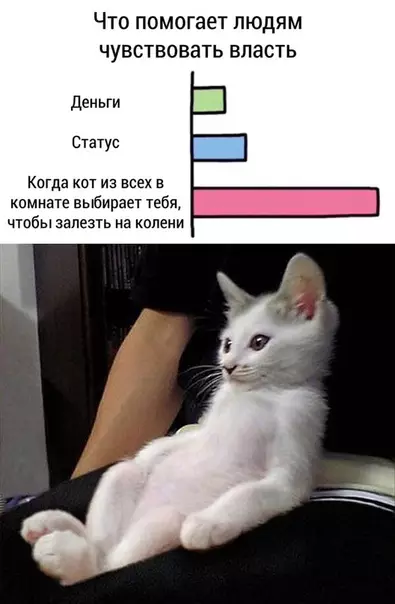Смешная картинка №472553