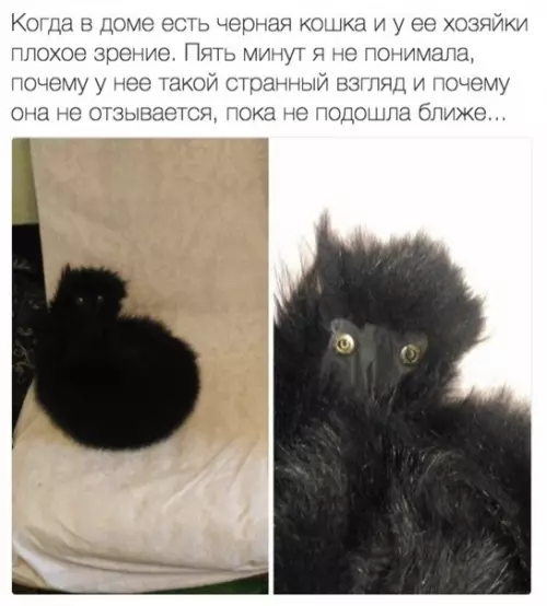 Смешная картинка №467379 ??