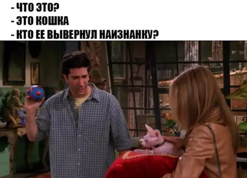 Смешная картинка №256939