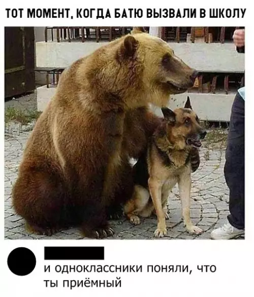 Смешная картинка №298390