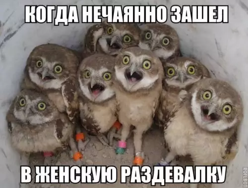 Смешная картинка №275723