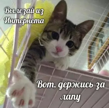 Смешная картинка №785416