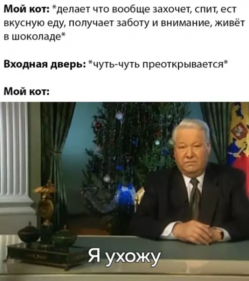 Смешная картинка №478658