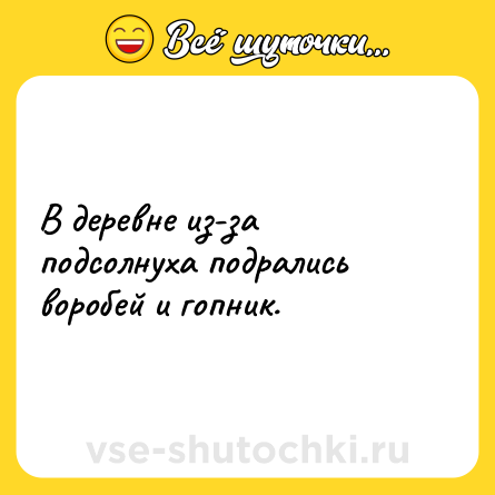 Шутка: В деревне из-за подсолнуха подрались воробей и гопник.