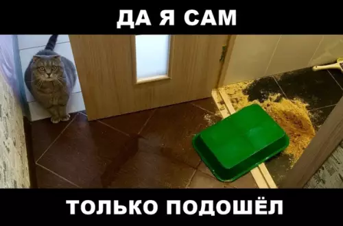 Смешная картинка №293180