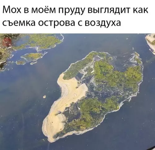 Смешная картинка №274036