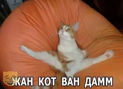 Смешная картинка №386516 #приколы #картинки #мемы ?