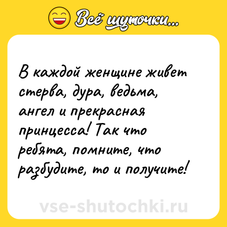 Шутка: В каждой женщине живет стерва, дура, ведьма, ангел и прекрасная принцесса! Так что ребята, помните, что разбудите, то и получите!