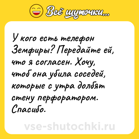 Шутка: У кого есть телефон Земфиры? Передайте ей, что я согласен. Хочу, чтоб она убила соседей, которые с утра долбят стену перфоратором. Спасибо.