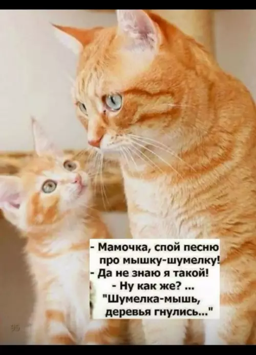 Мам, спой про мышку! 🐭🤣 - - Мамочка, спой песню про мышку-шумелку! - Да не знаю