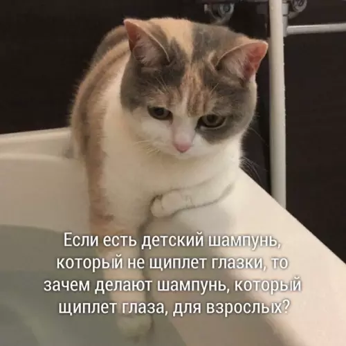 Смешная картинка №504970 Как жесток этот мир