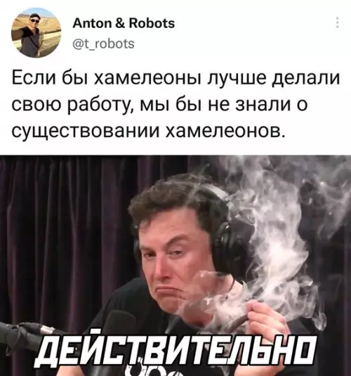 Смешная картинка №615250