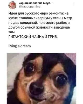 Смешная картинка №704331