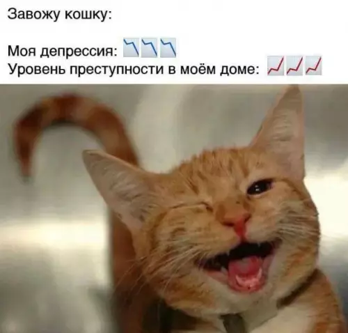 Смешная картинка №774574