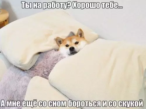 Смешная картинка №675152
