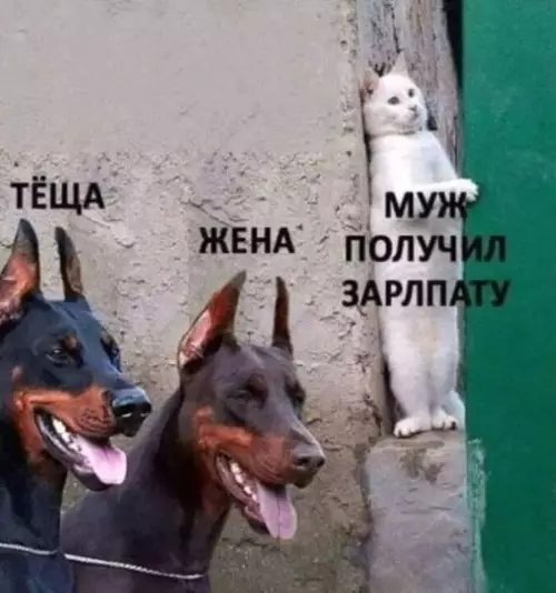Смешная картинка №348392 Где же он?