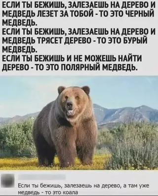 Смешная картинка №715949