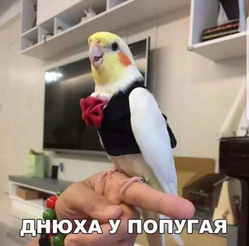 Смешная картинка №210395