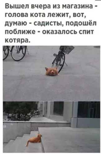 Смешная картинка №291616