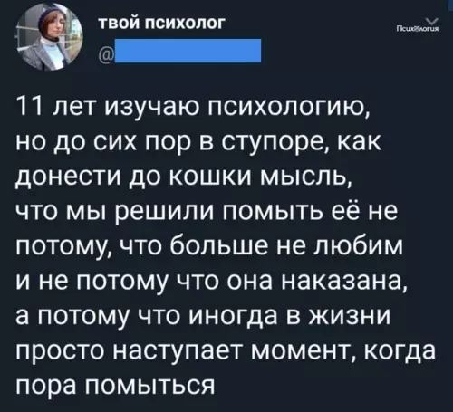 Смешная картинка №528986