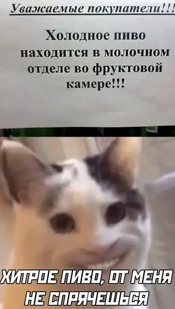 Смешная картинка №500421