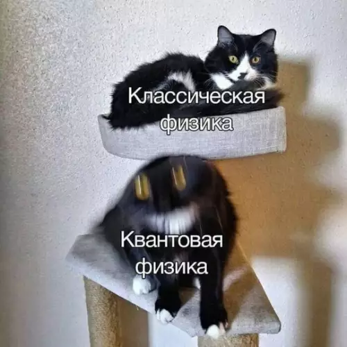 Смешная картинка №756877