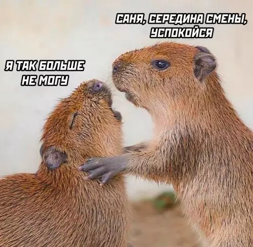 Смешная картинка №678222 Настроение: