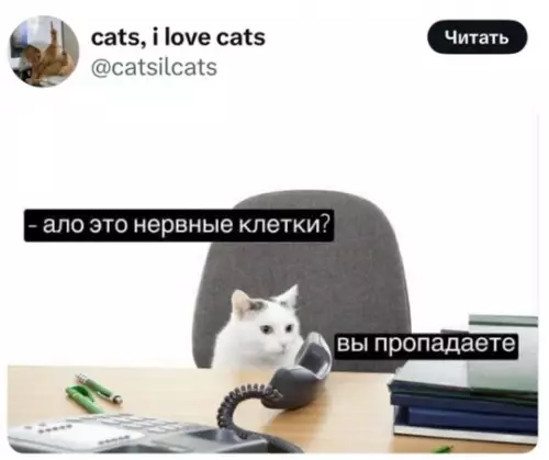 Смешная картинка №755221