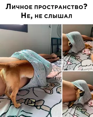 Смешная картинка №652959