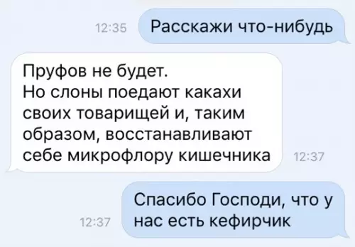 Смешная картинка №338740 переписка, животные