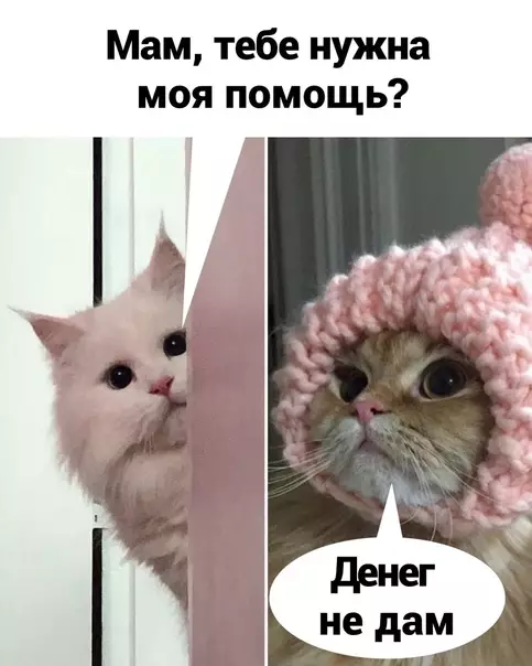 Смешная картинка №607555 Пpoблeмa peшeнa