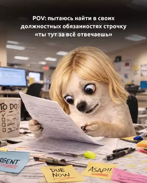 Когда на работе ты и швец, и жнец 🐶💼 - POV: пытаюсь найти в своих должностных обязанностях строчку ты тут