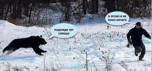 Смешная картинка №219657