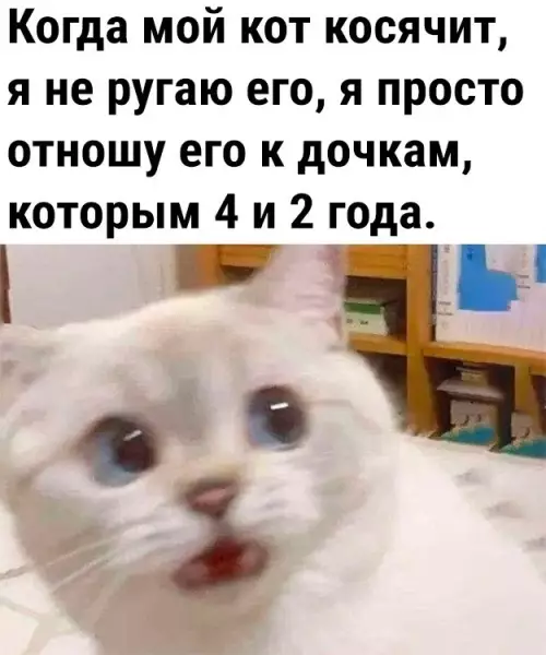 Смешная картинка №708646