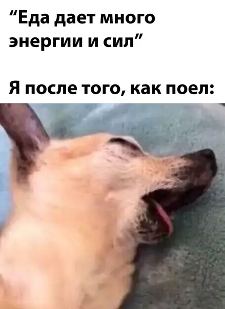 Смешная картинка №614567