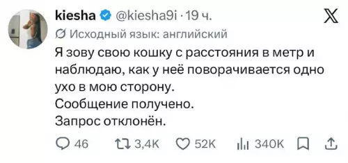 Кошачья обработка входящих 😼📡 - Я зову свою кошку с расстояния в метр и наблюдаю,