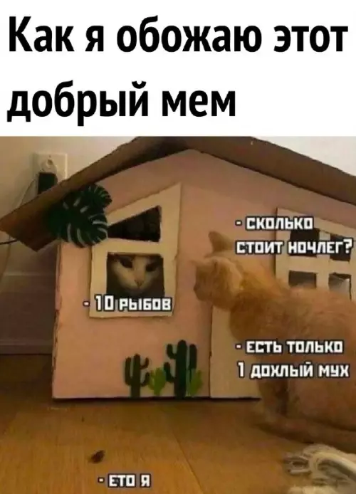 Смешная картинка №686481