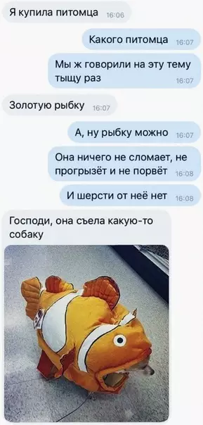 Смешная картинка №527343 Теперь эта рыба гадить по углам будет и тапки грызть!)
