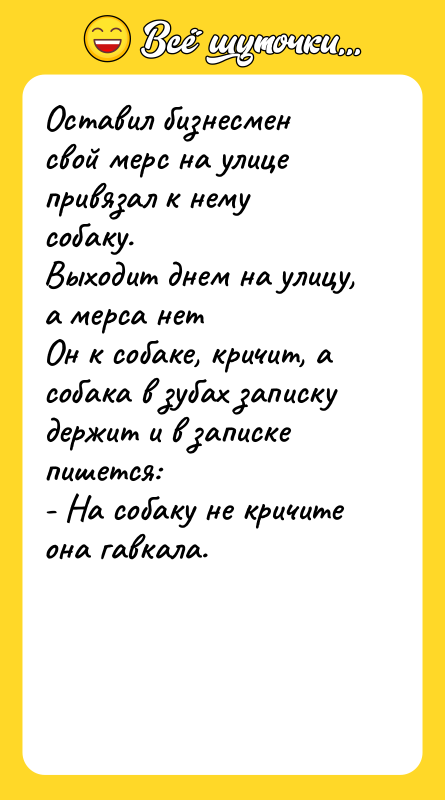 Оставил бизнесмен свой мерс на улице привязал к нему собаку.
