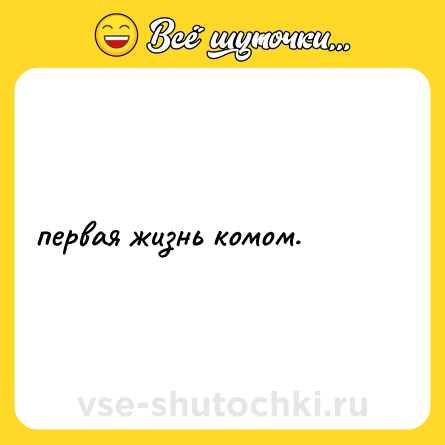Шутка: первая жизнь комом.