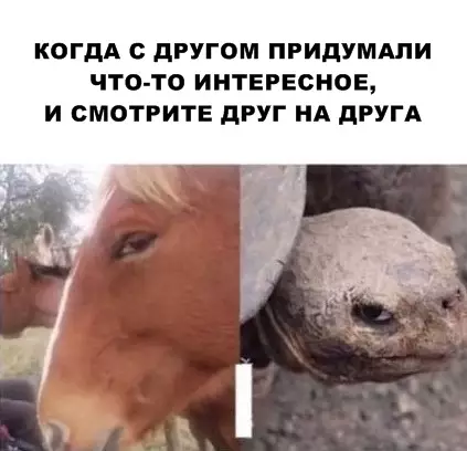 Смешная картинка №286817