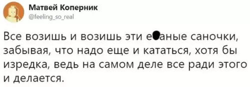 Смешная картинка №333831 Суть взрослой жизни: саночки возишь, а кататься времени нет