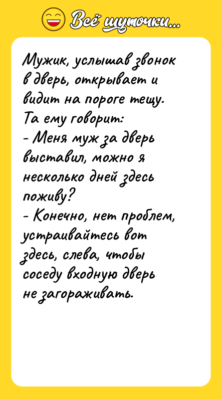 Мужик, услышав звонок в дверь, открывает и видит на пороге